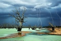 Dych vyrážajúce! Pozrite si najlepšie fotografie ocenené prestížnym časopisom National Geographic