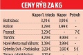 Začali predávať ryby na vianočný stôl: Kapra kúpite od 3,29 €!