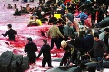 Barbarský lov veľrýb na Faerských ostrovoch: Masaker zmenil more na krv!