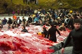 Barbarský lov veľrýb na Faerských ostrovoch: Masaker zmenil more na krv!