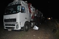 V Turci sa zrazili dva kamióny s maďarskými vodičmi: Opitý Gyula (†62) zomrel v nemocnici