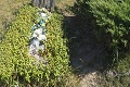 Dojímavý príbeh nešťastných milencov zo Slovenska: Záhadu ich náhrobkov nedokáže nikto vysvetliť!