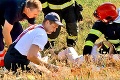 Nehoda podpredsedníčky parlamentu Laššákovej: Tragédii zabránil jej vodič limuzíny!