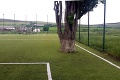 Futbalové ihrisko po rumunsky: Osvetlenie, kvalitný povrch a jeden veľký dub!