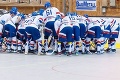 Fantastický úspech slovenských hokejbalistov: Sme majstri sveta!