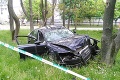 Jazdu vodiča, ktorý v Bratislave riadil ukradnuté auto, zastavil strom!