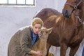 Exteriéry obľúbeného seriálu odhalené: Kde sa nakrúcajú Divoké kone?