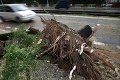 Bratislavu zasiahol silný vietor! Hasiči odstraňujú popadané stromy aj odtrhnuté bilbordy