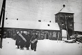 Od oslobodenia tábora smrti prešlo 70 rokov, poslední pamätníci spomínajú: Ako sme prežili Osvienčim
