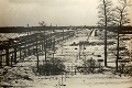 Od oslobodenia tábora smrti prešlo 70 rokov, poslední pamätníci spomínajú: Ako sme prežili Osvienčim