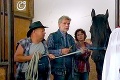 Odborníčka na kone o jojkárskom seriáli: V Divokých koňoch sú riadne koniny!