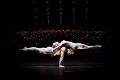 Cirque Du Soleil vystúpi s predstavením QUIDAM v Bratislave: Čo ste o nich nevedeli?