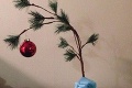 Najhoršie vianočné stromčeky sveta: Jedna katastrofa strieda ďalšiu!