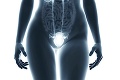 Preventívky u gynekológa nepodceňujte: Rakovinu vaječníkov odhalí len ultrazvuk!