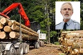 Poslanec Mičovský otvoril škandál v štátnych lesoch: Odvoz dreva predražili o 14 miliónov eur?!