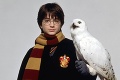 Autorka Harryho Pottera poteší fanúšikov: Čarodejnícky svet sa vráti v novom príbehu!