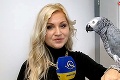Ženatý redaktor Markízy Lechan: Šokujúca reakcia na obvinenie z nevery s kolegyňou!