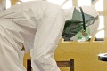 Epidémia naháňa strach aj za oceánom: USA potvrdili prvý prípad ochorenia na ebolu