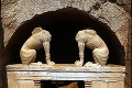 Grékov nadchli vykopávky v záhadnej hrobke: Odpočíva tam Alexander Veľký?