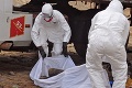 Svetová zdravotnícka organizácia varuje: Nakazených ebolou môže byť v skutočnosti až šesťkrát viac!