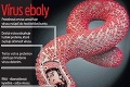 Európu ohrozuje historicky najväčšia africká epidémia: Čo robí s nakazeným človekom ebola?