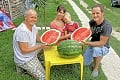 Sezóna sa začína: Dozrievajú prvé domáce melóny