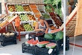 Rusko zakázalo dovoz niektorých druhov ovocia a zeleniny z Poľska!