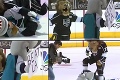 Bitka maskotov v NHL: Lev z Los Angeles a žralok zo San Jose si to poriadne rozdali