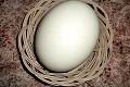 Všetko, čo musíte vedieť o vajíčkach! Ako si ich pripraviť? Kedy sú dokonale uvarené?