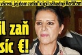 Mojsejová sedí vo väzení, jej dom zatiaľ kúpil záhadný Košičan: Vysolil zaň 185 tisíc €!