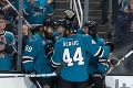 V Česku rastie nový hokejový fenomén: Hertl vletel do NHL ako uragán!