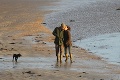 Romantika na pláži: Kate a William venčili svoje nové šteniatko