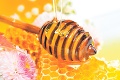 Počasie našim včelám nevyhovovalo: Medu je tento rok menej, zdražie?
