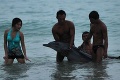 Otrasné divadlo: Čínski dovolenkári pre fotku skoro utýrali delfína k smrti