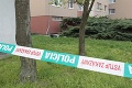 V Bratislave našli ďalšiu mŕtvolu: Telo ležalo v kríkoch pri petržalských panelákoch