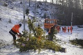 Veľký úder pre naše veľhory: 7 000 stromov v Tatrách padlo ako zápalky