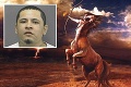 Američan znásilnil kobylu, chcel splodiť kentaura
