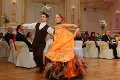 Prehľad plesovej sezóny 2013: Tancovať sa začne už v piatok!