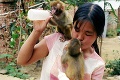 Zvláštne metódy čínskeho biznisu: Žena dojčí opice z vlastných pŕs!