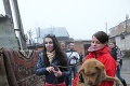 V rómskej osade lapali psy: Vrátia sa sem vykastrované
