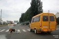 Len pre silnejšie povahy: Takto sa jazdí po ruských cestách!