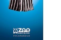 Drsná kampaň zoo: Príďte navštíviť ich šťastnejších príbuzných