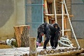 Momentky zo zoologickej záhrady: Takto vystrájame, keď nás „nikto“ nevidí