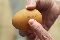 Neverte pekným obrázkom: Ako možno rozoznať čerstvé vajcia?
