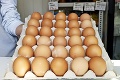 Neverte pekným obrázkom: Ako možno rozoznať čerstvé vajcia?