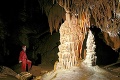 Unikátne zábery: Jaskyniari odhalili čarokrásne korality!