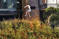 Ashton Kutcher: Kto by chodil k bazénu, keď môže skočiť z terasy!