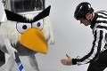 Maskotom hokejových MS 2012 bude vták