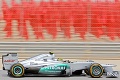 Rosberga trafil vo veľkej rýchlosti vták: Prilba mu zachránila život!