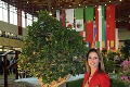 Výstavy kvetín a drevín v Nitre: Obdivujte aj 100-ročný bonsaj!